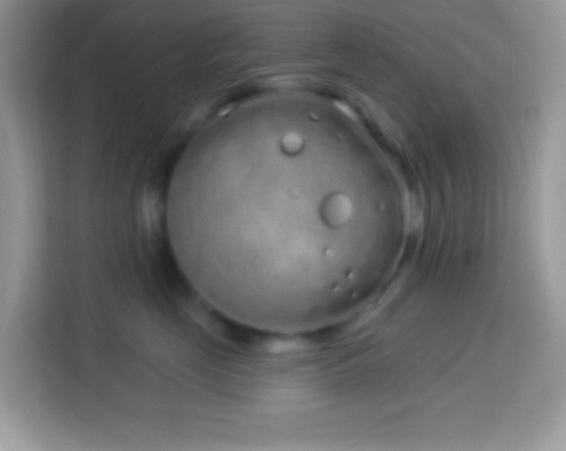 X0000114160669200910081354