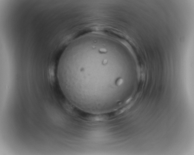 X0000114160670200910081354