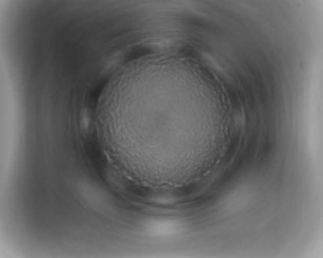 X0000114160671200910081354