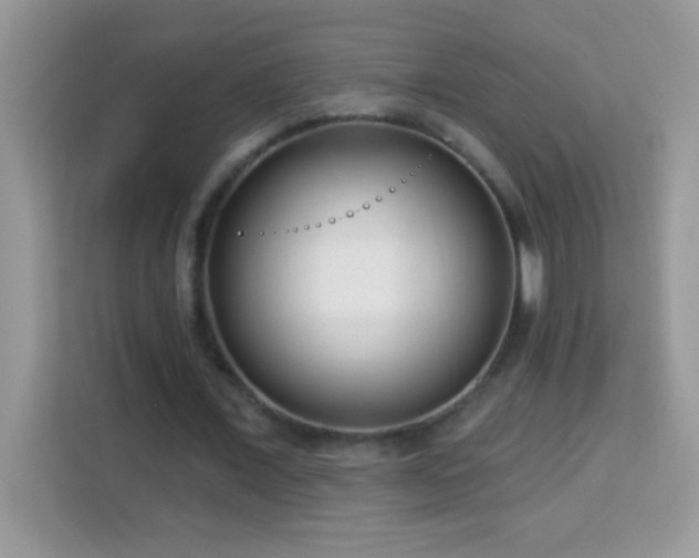 X0000114160675200910081354