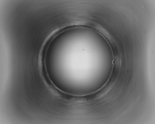 X0000114160676200910081354