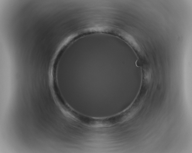 X0000114160678200910081354