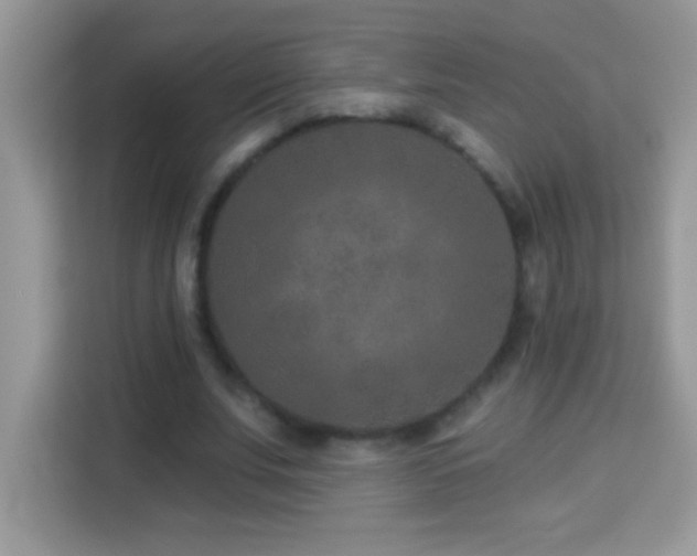 X0000114160679200910081354