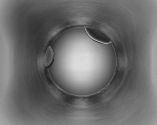 X0000114160680200910081354