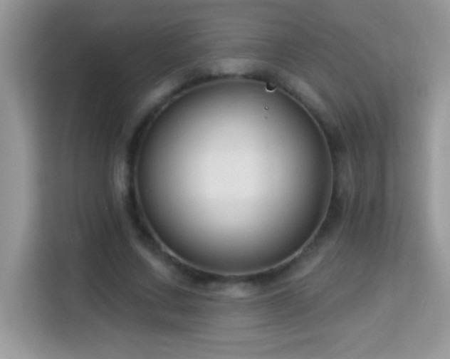 X0000114160683200910081354