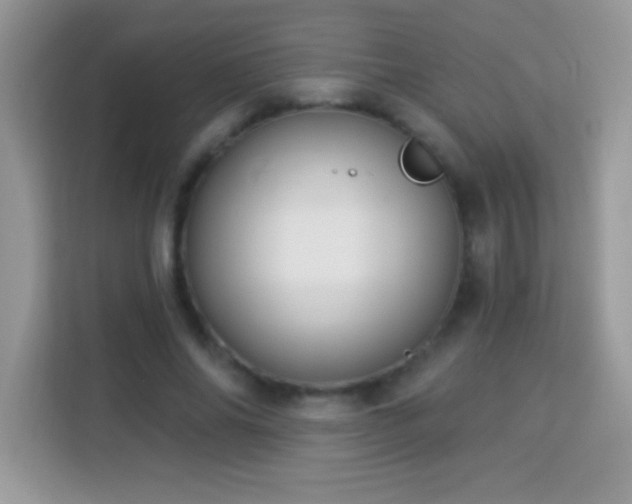 X0000114160686200910081354