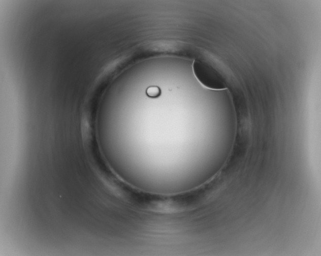 X0000114160688200910081354