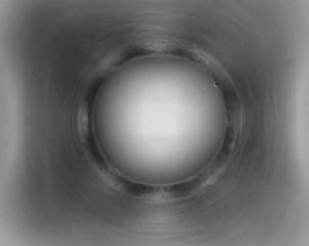 X0000114160696200910081353