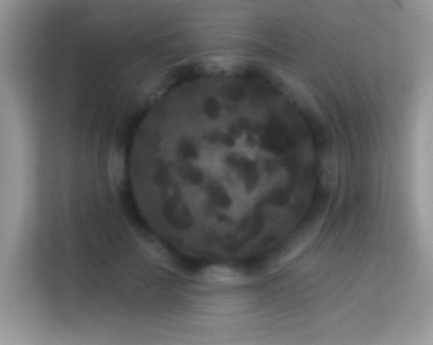 X0000114160699200910081353