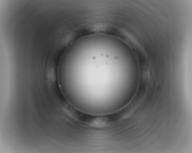 X0000114160700200910081353