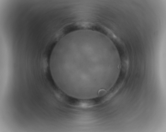 X0000114160707200910081353
