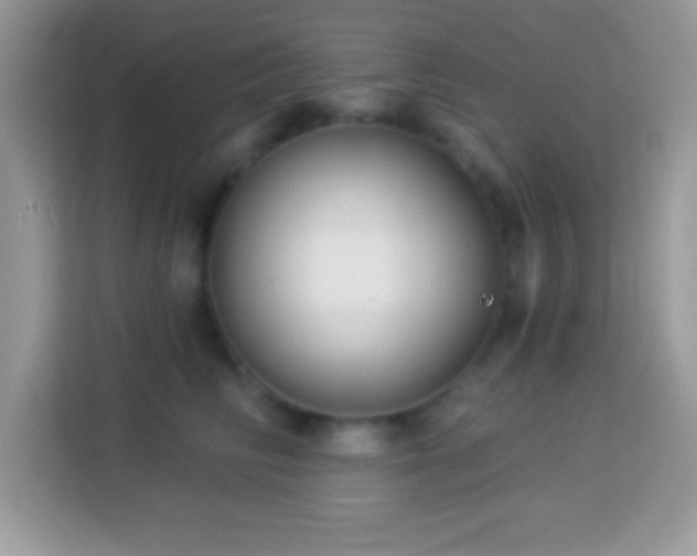 X0000114160710200910081353