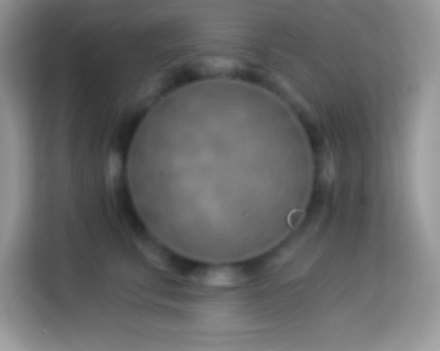 X0000114160711200910081353