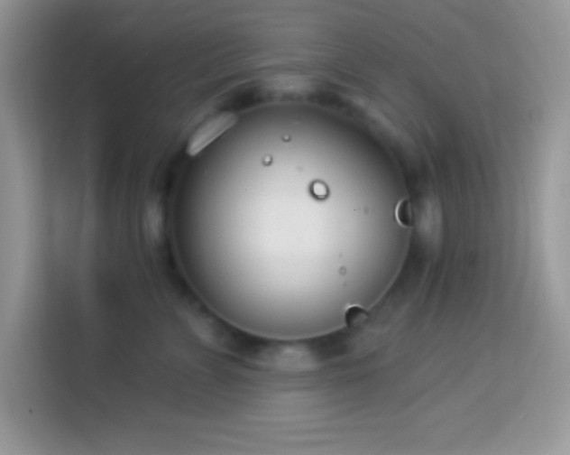 X0000114160715200910081353