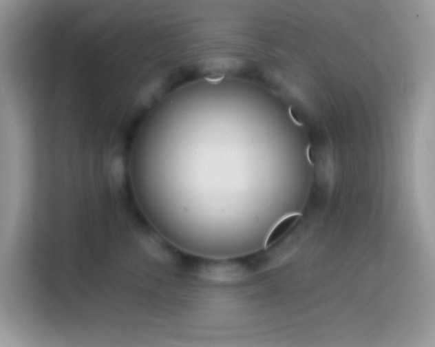 X0000114160716200910081353
