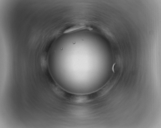 X0000114160719200910081353