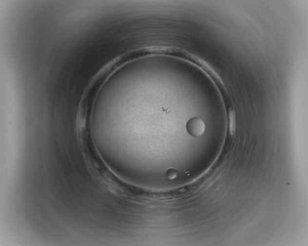 X0000114160723200910081353