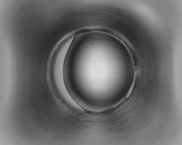 X0000114160724200910081353
