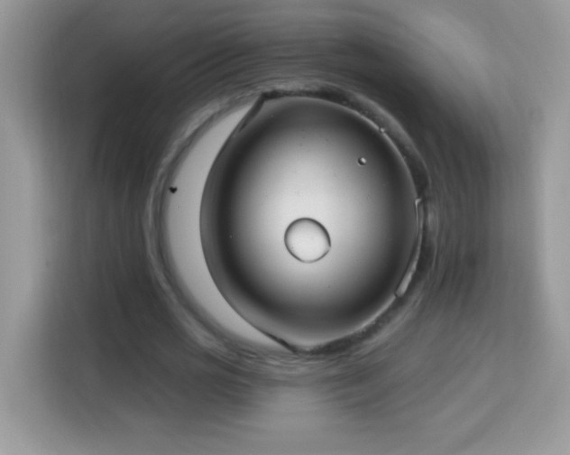 X0000114160725200910081353