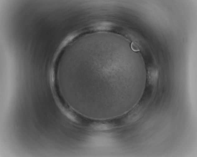 X0000114160726200910081353