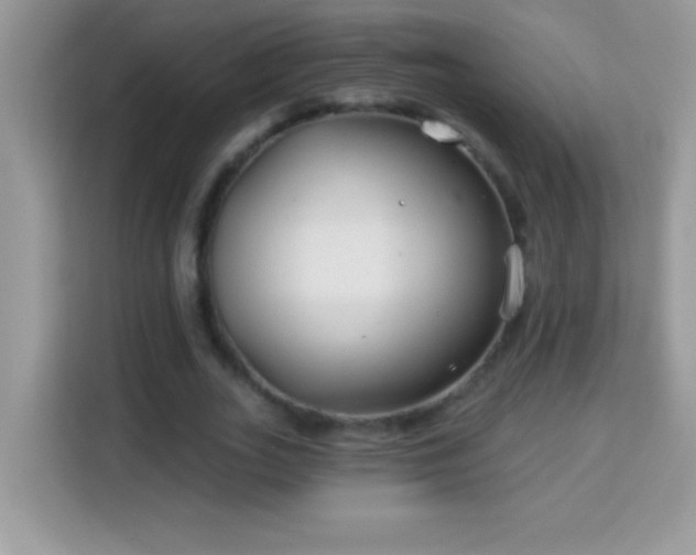 X0000114160727200910081353