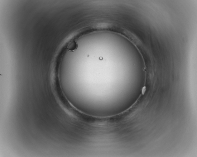 X0000114160728200910081353