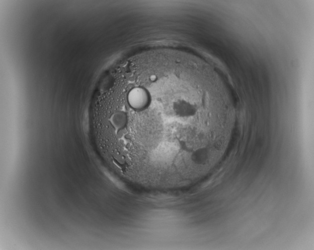 X0000114160729200910081353