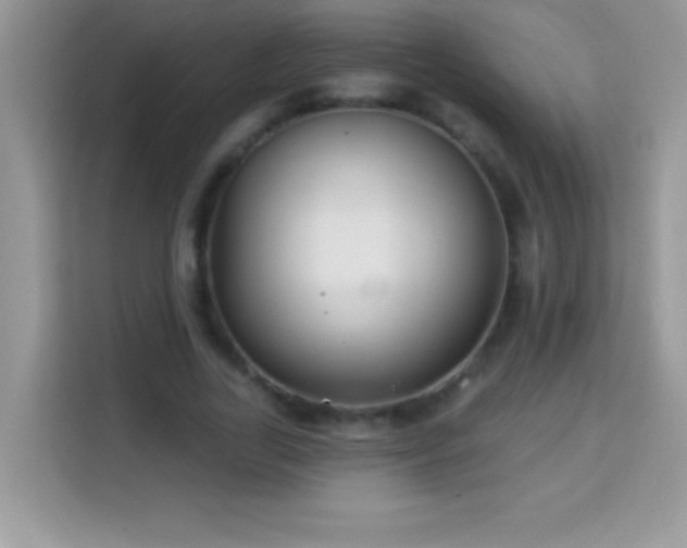 X0000114160731200910081353