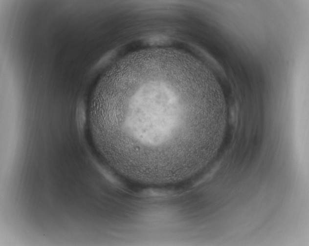 X0000114160733200910081353