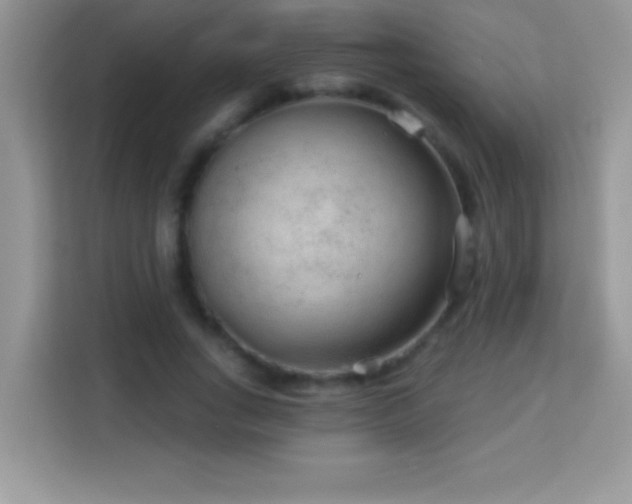 X0000114160735200910081353