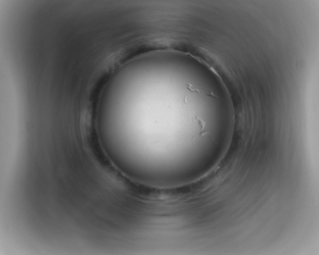 X0000114160739200910081353