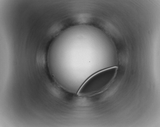 X0000114160740200910081353