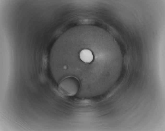 X0000114160741200910081353