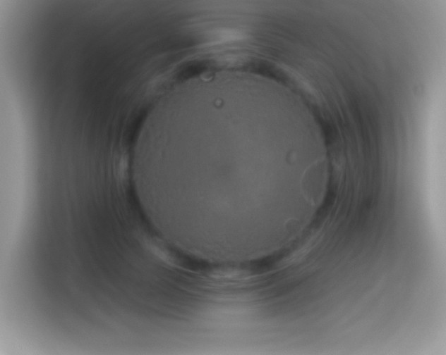 X0000114160745200910081353
