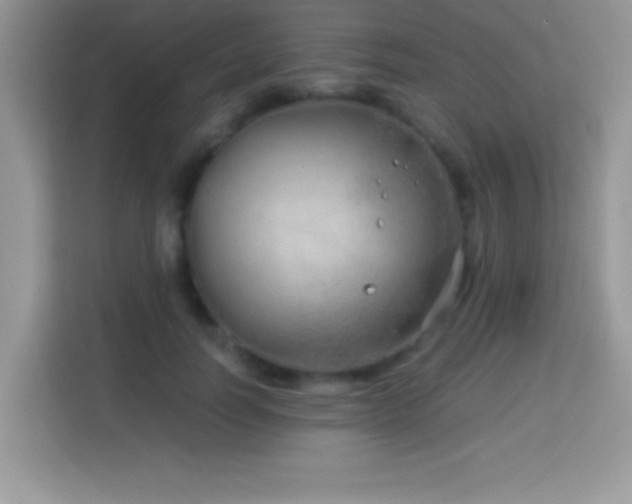 X0000114160746200910081353