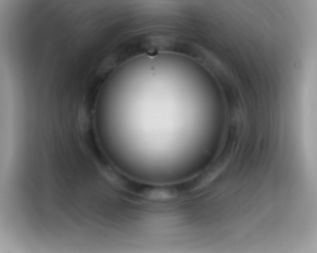 X0000114160751200910081353