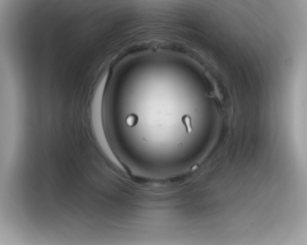 X0000114160756200910081353