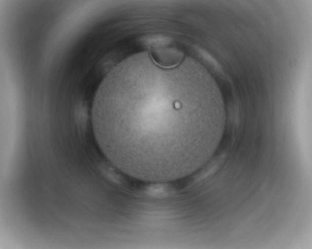 X0000114160761200910081353