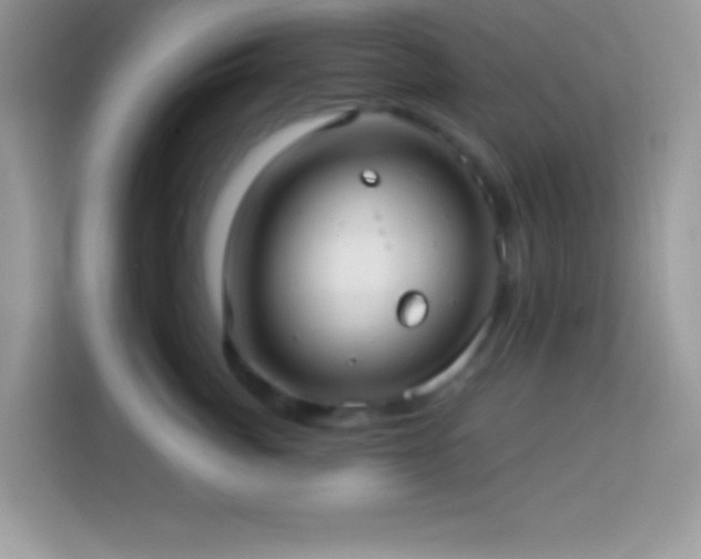 X0000114160764200910081353