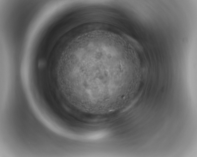 X0000114160765200910081353