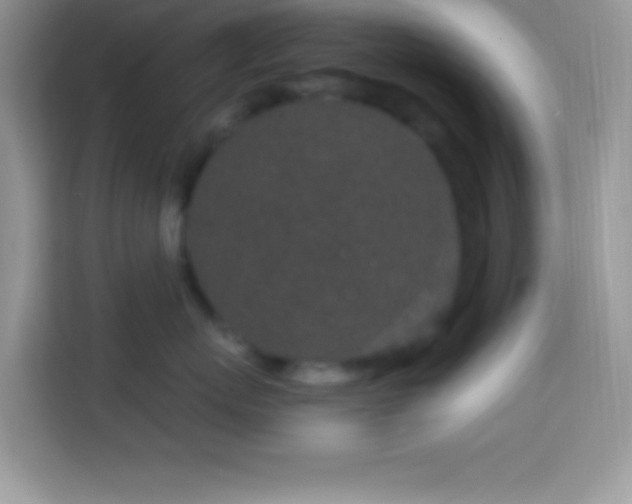 X0000114160767200910081353
