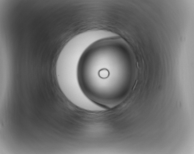 X0000114160768200910081353