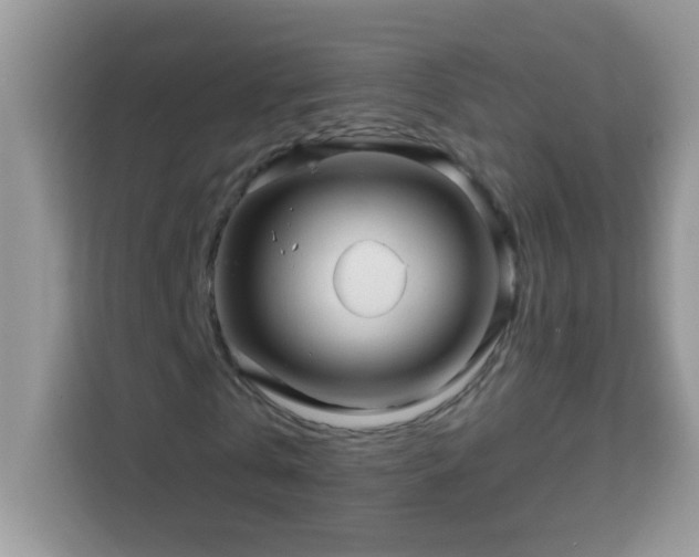 X0000114160769200910081353