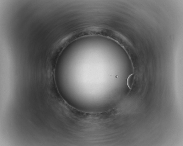 X0000114160773200910081352