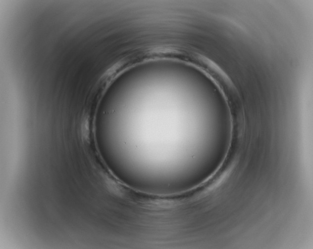 X0000114160777200910081352