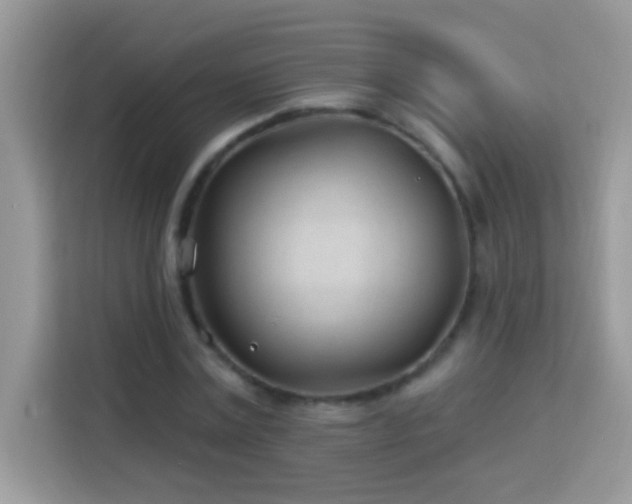 X0000114160779200910081352