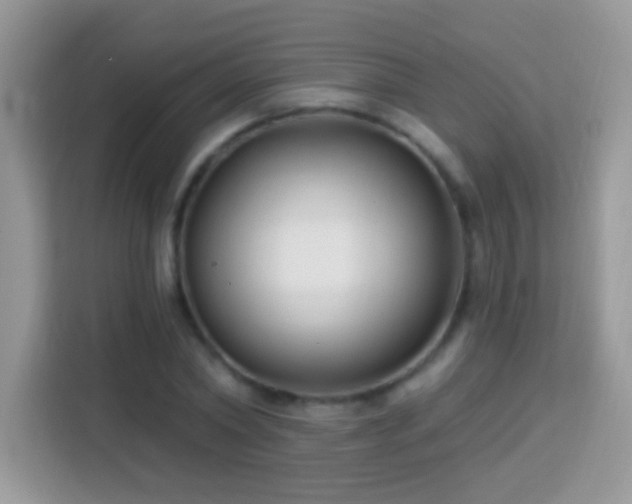 X0000114160782200910081352