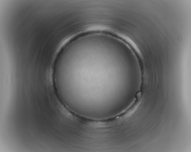 X0000114160783200910081352