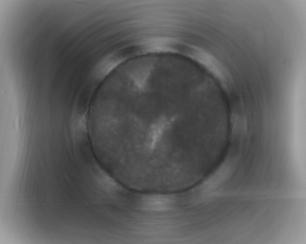 X0000114160785200910081352