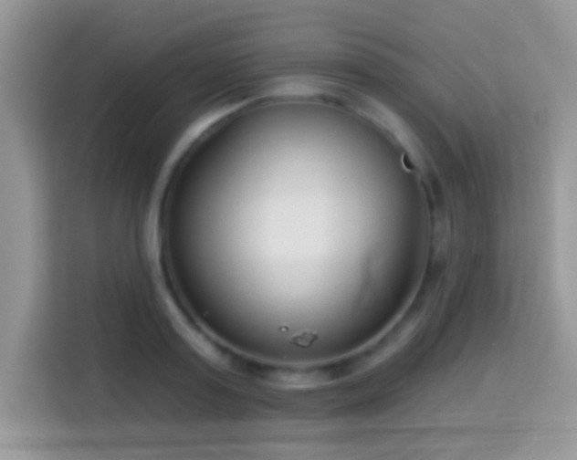 X0000114160795200910081352